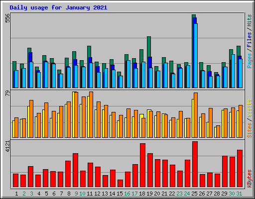 Daily usage for January 2021