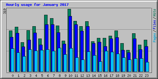 Hourly usage for January 2017