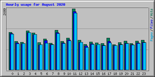 Hourly usage for August 2020