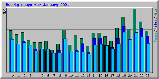 Hourly usage for January 2021