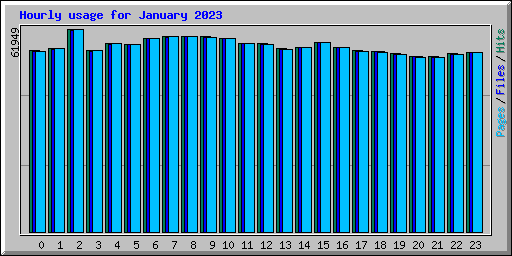 Hourly usage for January 2023