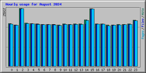 Hourly usage for August 2024