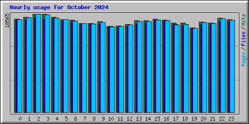 Hourly usage for October 2024