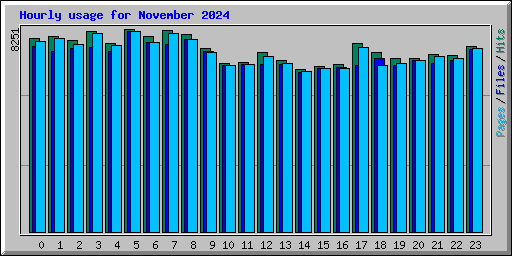 Hourly usage for November 2024