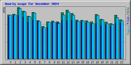 Hourly usage for December 2024